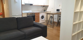 Acogedor estudio en el centro de Vigo